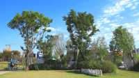旗山湖公園位於閩侯縣高新區，緊鄰福建師大和福建理工大學，湖水與溪源江和輪船港河相通，813畝的公園綠化面積，主要觀賞景點有:清風坪、桃花渚、荔枝林、梅渚島、古韻流芳等等，遊客可以在此劃船、賞花、放風箏、看日落……，它在2018年開始開挖興建，是目前福州地區第一大的綠色生態景觀湖泊公園