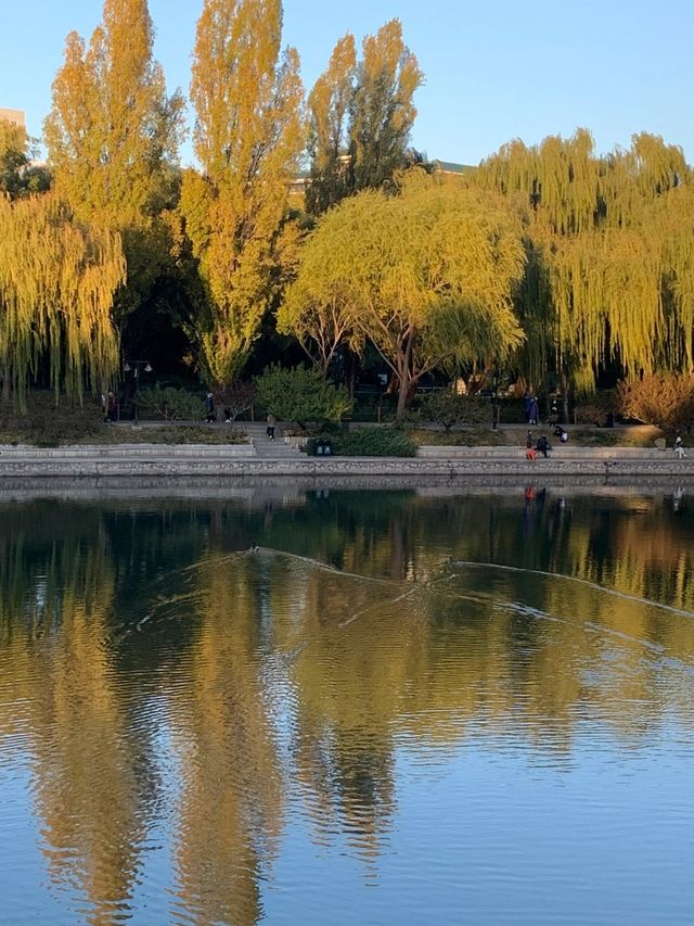 北京紫竹院公園深秋美的像一幅畫