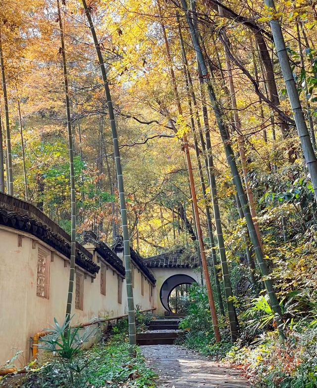 清晨入古寺，初日照高林