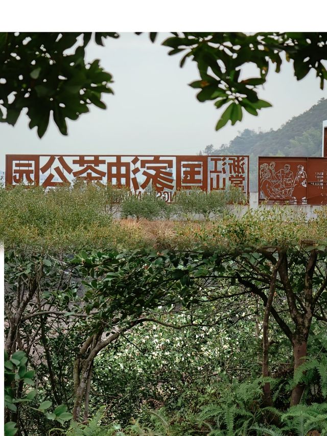 南國有嘉樹，花若白玉杯