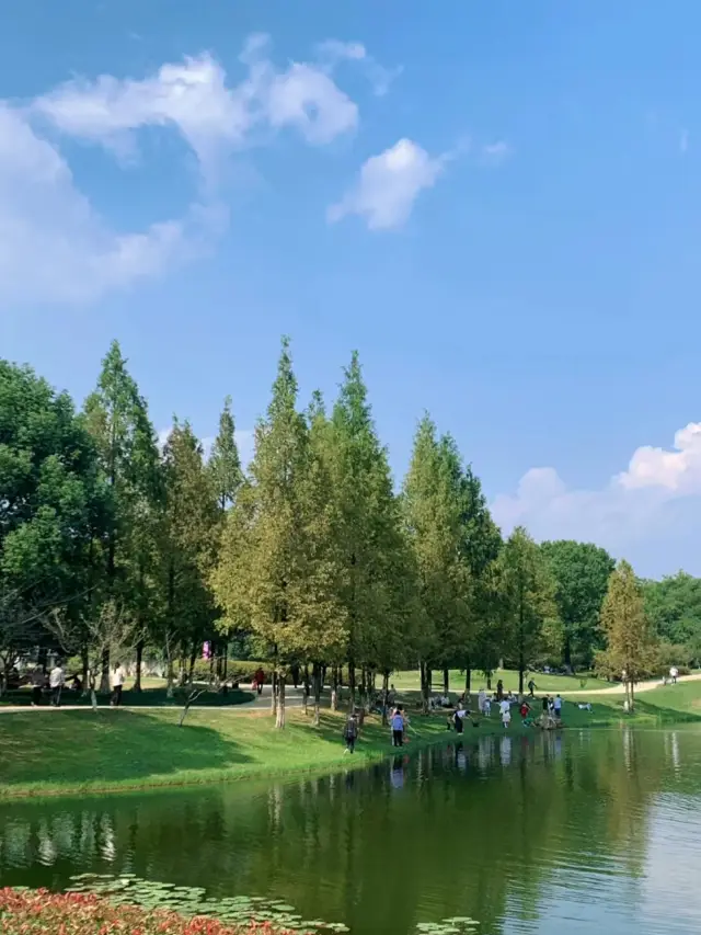 今日の良渚での子供との散歩|美しい州公園は本当に美しいですね