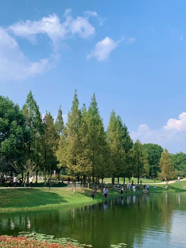 今日份良渚遛娃|美麗洲公園也太美了吧