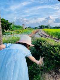 三日兩晚大灣區親子游，稻香田園還有超正的海鮮👪