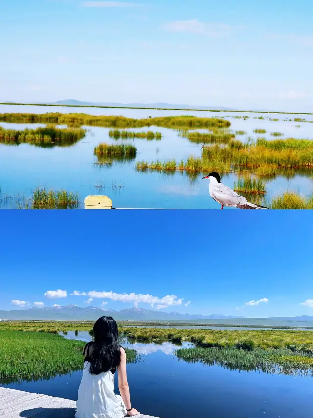 Gannan Travel Guide丨National Day Gannan 4 days and 3 nights Zha Ga Na Labrang Monastery Gannan Secret Realm