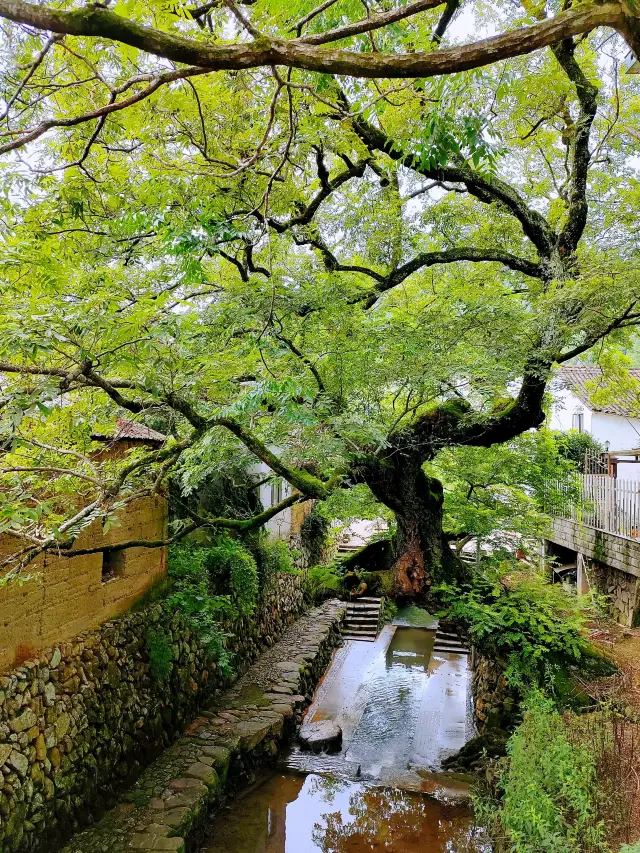 A thousand-year-old village, a journey to discover the mysterious realm of the Dragon