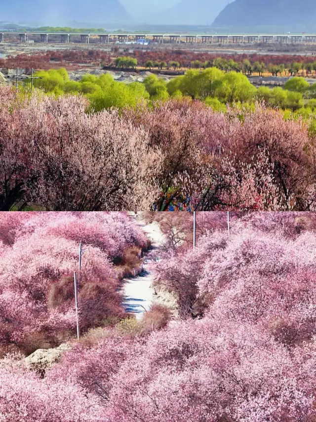 林芝•新措 | 西藏最值得去的小眾徒步秘境