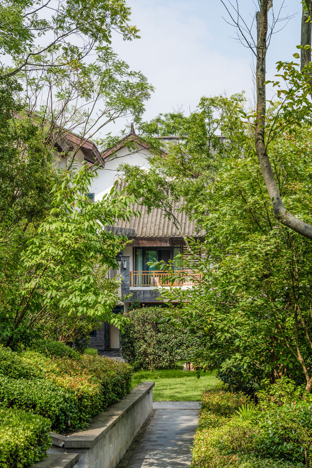 國慶旅遊｜趁著秋天去一趟青城山吧