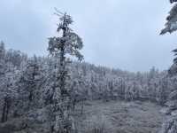 姊妹們！實拍瓦屋山又又又下雪啦