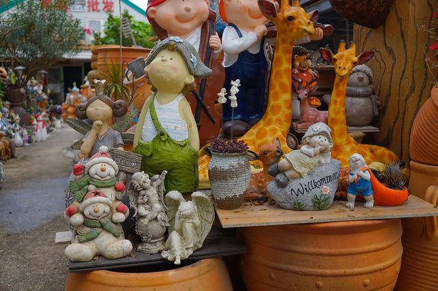 深圳年味 | 要過年啦，總要逛一趟花市吧~