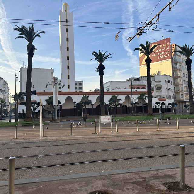 Wander around Casablanca البيضاء المسافرين