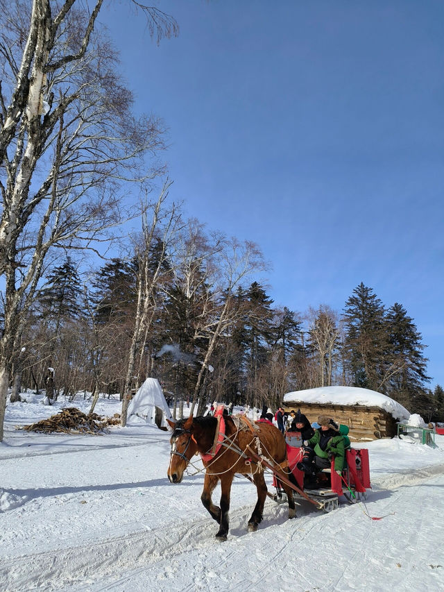 旅行碎片 雪嶺-二道白河 優質版攻略～