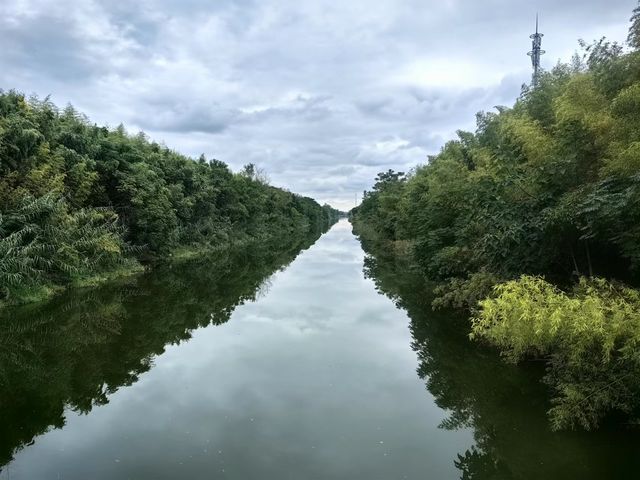 東台黃海森林公園一遊