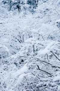 成都周邊一日遊，適合新手小白徒步/爬山路線！