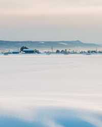 그래요. 올해는 홋카이도 어디로 떠나볼까요❄️