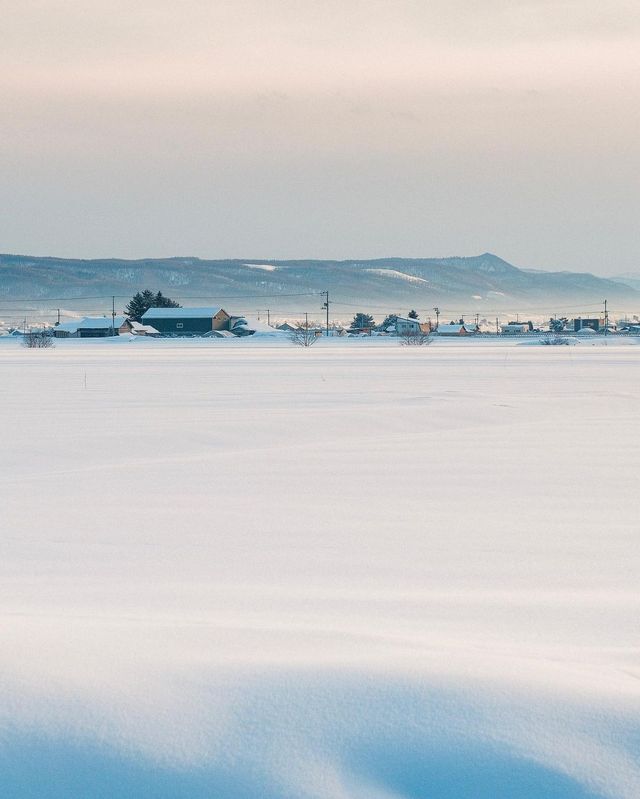 그래요. 올해는 홋카이도 어디로 떠나볼까요❄️