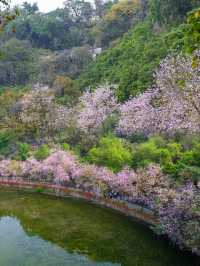 肇慶七星岩廣東版·小桂林