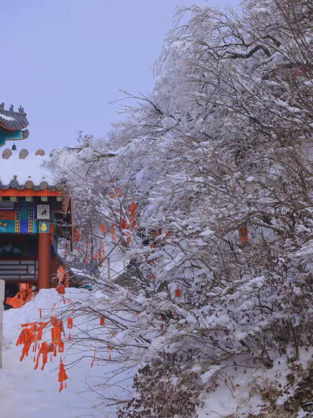 打卡雪後的老君山