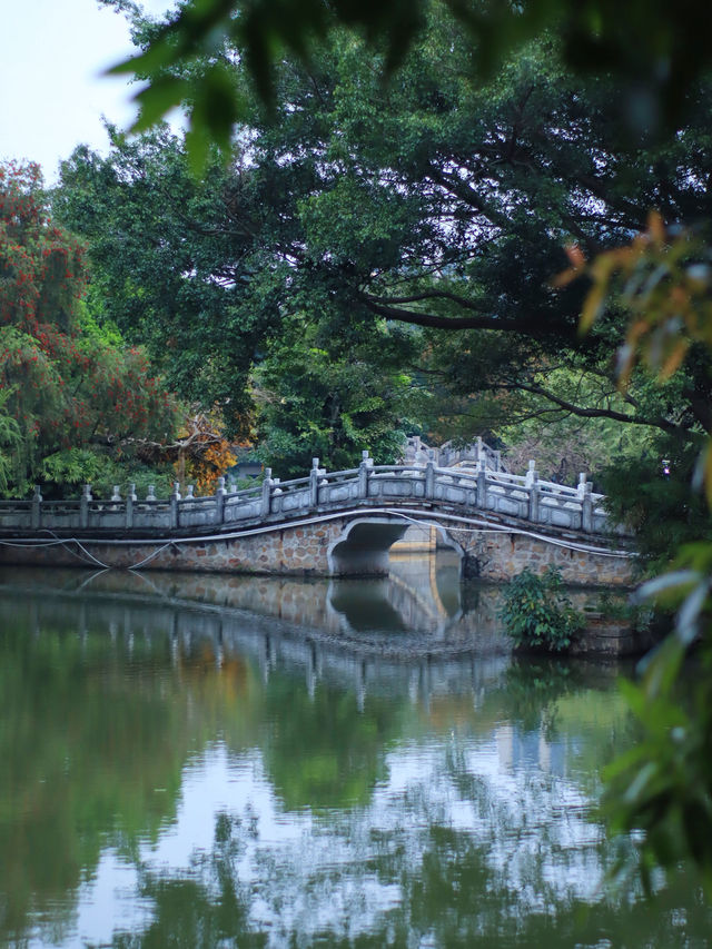 佛山｜中山公園｜嚴重被低估的小眾寶藏公園