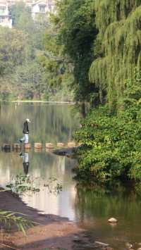 彩雲湖公園 感受綠野仙蹤般的浪漫