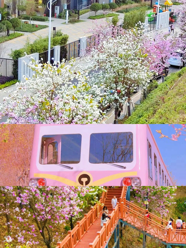 深圳！直達地鐵公交的秘密花園！九成九的人都不知道！