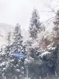 仙女山的雪景太棒了，只需要知道這8點就能快樂到飛！