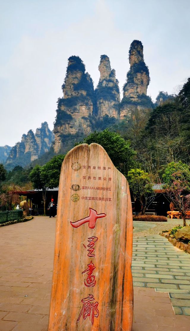 走進張家界國家森林公園，醉了心，養了眼！