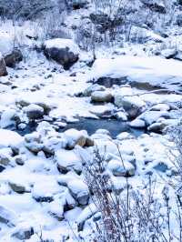 川西厄爾納溝‖南方小土豆的冰雪童話世界