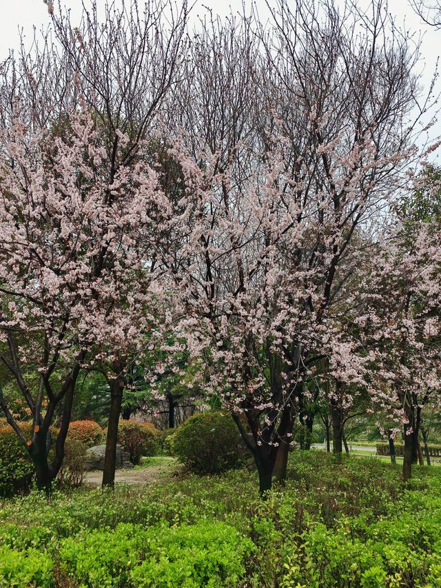 徐州滨湖公園