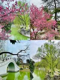 春日必去！西安興慶公園，帶你穿越千年尋古韻