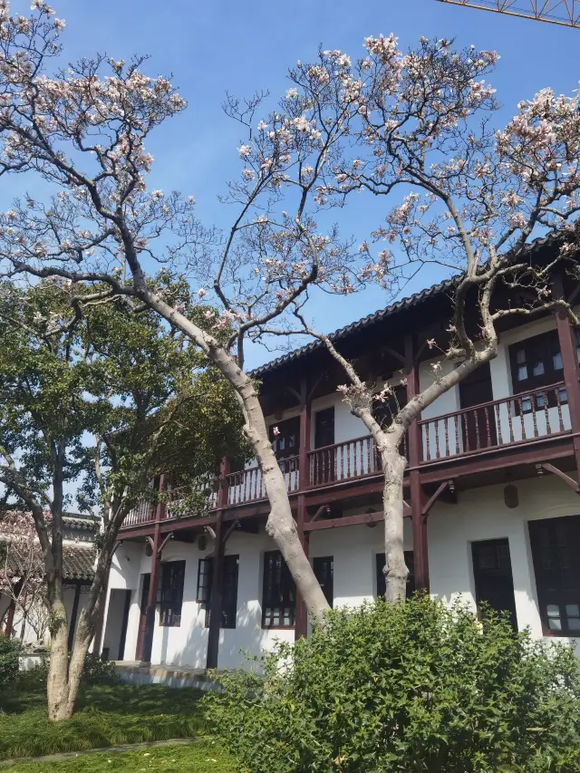 Suzhou Couple's Garden Retreat—The only remaining academy garden in Suzhou