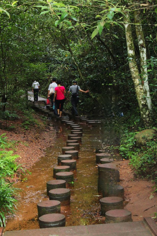 福建山海行一一泰宁大金湖