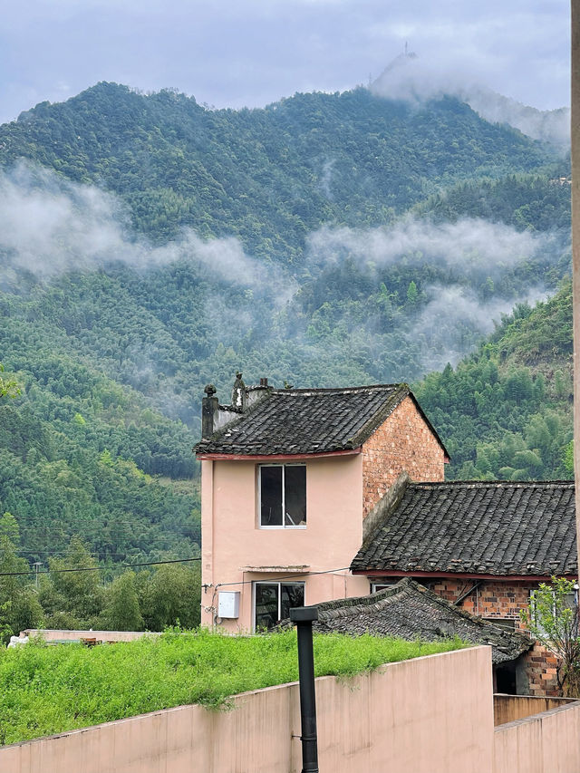 泰順親子遊 | 在隱世庭院感受山野美學