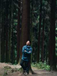 每週一山｜成都周邊中壩森林徒步一天
