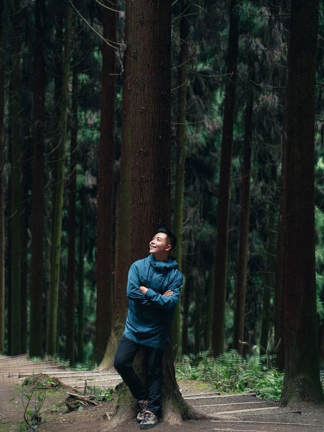 每週一山｜成都周邊中壩森林徒步一天