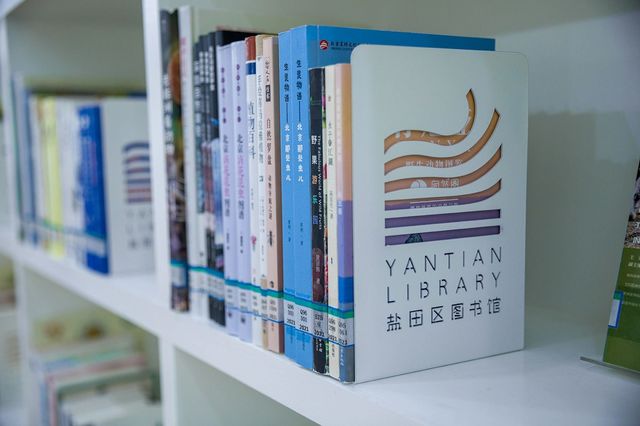 深圳90%的人都不知道的最美圖書館-棲息圖書館！