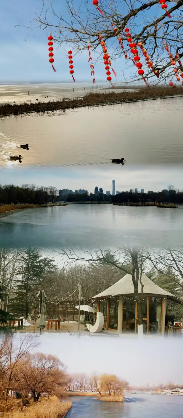 北京朝陽公園｜ロマンチックなのは夕日だけではなく、冬の朝日も
