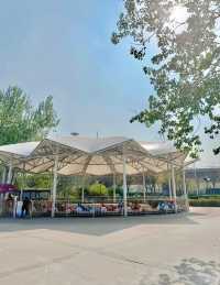 開往春天的小火車｜逛公園遛娃兩不誤！