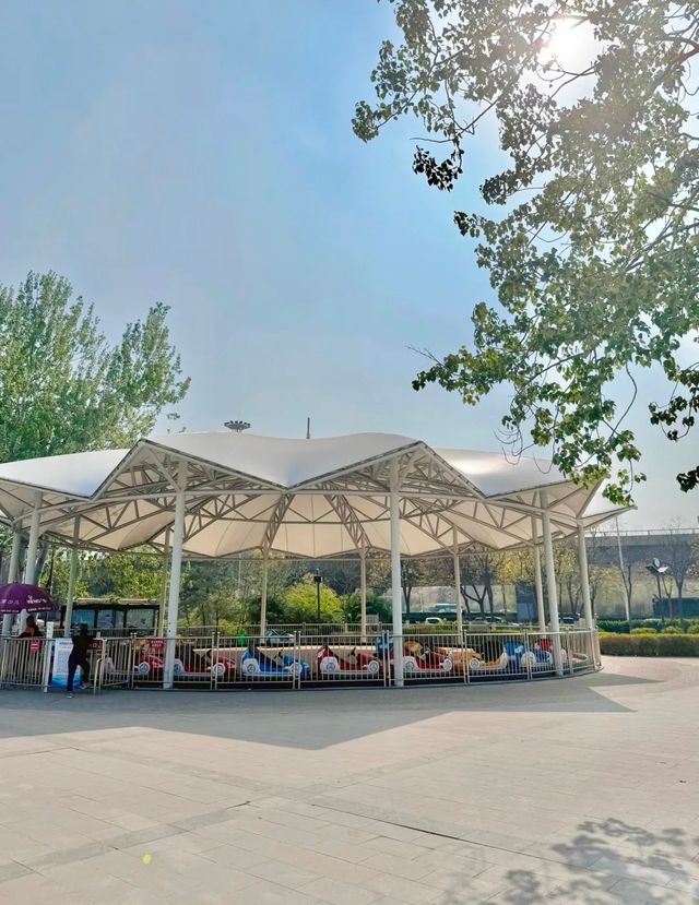 開往春天的小火車｜逛公園遛娃兩不誤！