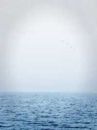 下雪了，來鄭州看“海”吧