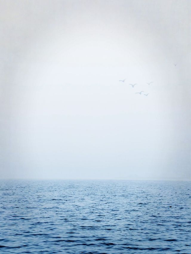 下雪了，來鄭州看“海”吧