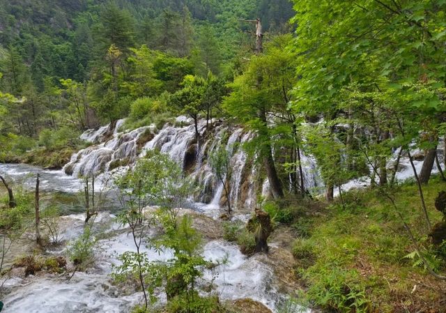 沒騙你九寨溝是全國唯一一個宣傳圖與實景完全相符的景區