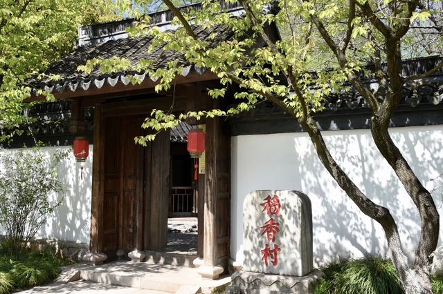 劉姥姥進了大觀園