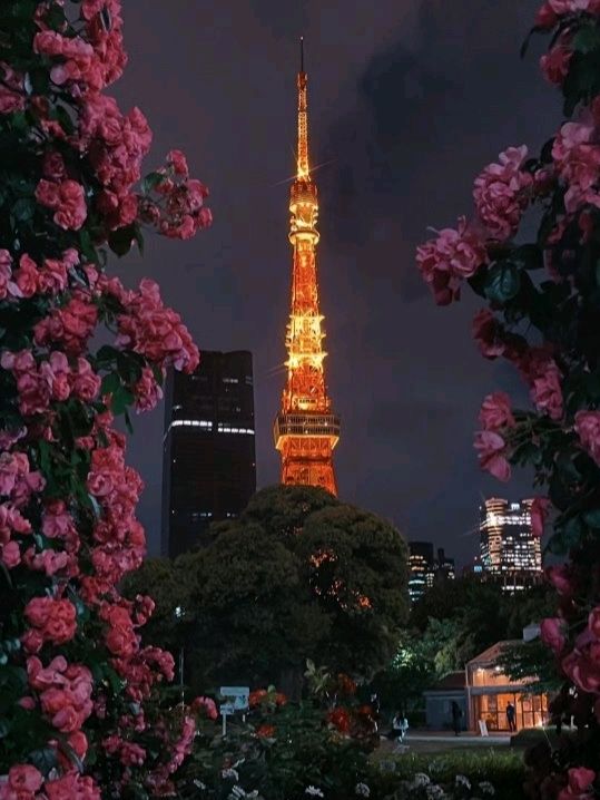 Excellent Tokyo Tower in Japan 🗼🇯🇵