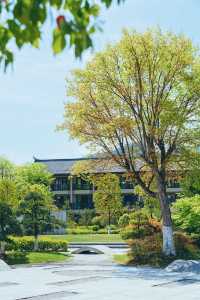 追隨春風去度假之——住進春天裡