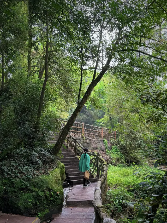 A little-known cool forest hiking route around Chengdu!