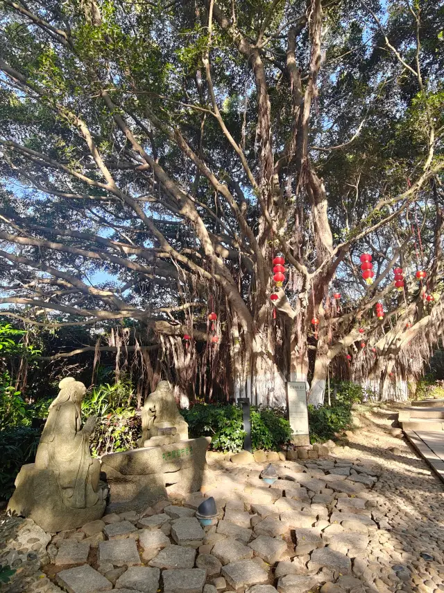 Laojun Rock, known as 'the foremost Laozi in the world'