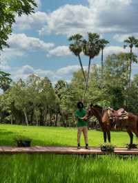 🌟 Siem Reap's Top Hotels: Luxury & Comfort Unveiled 🏰✨