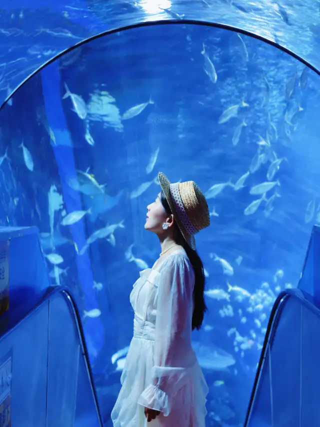 夏日旅行 | 狂走1萬步，整理了這份北京海洋館超全打卡攻略