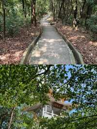 廣州龍頭山🪨｜清涼的天然氧吧，難度登頂