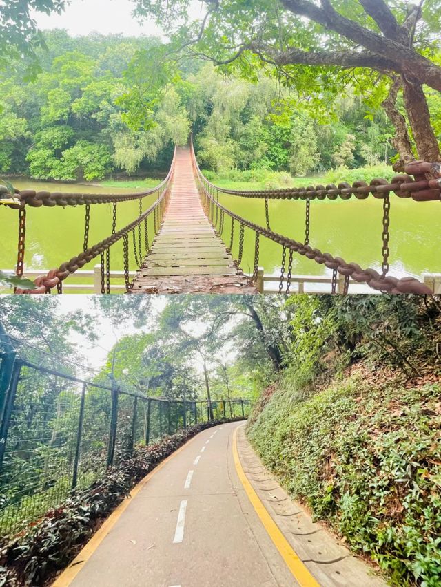 江門東湖公園